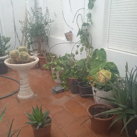 Las Salinas