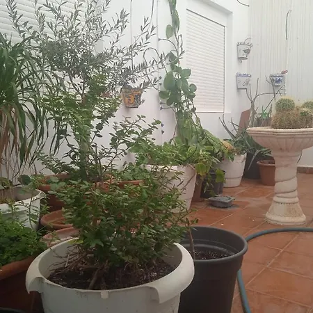 Las Salinas 2*